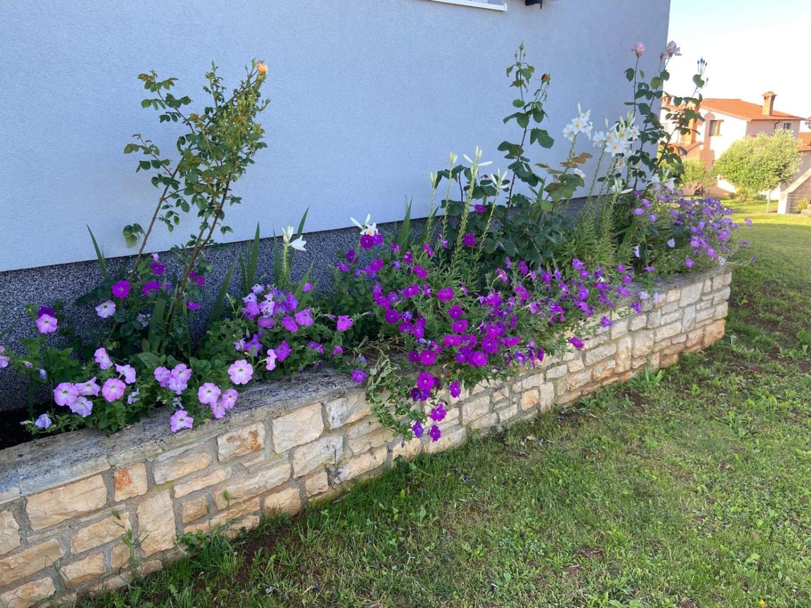 Holiday Home Mihaela วิชยาน ภายนอก รูปภาพ